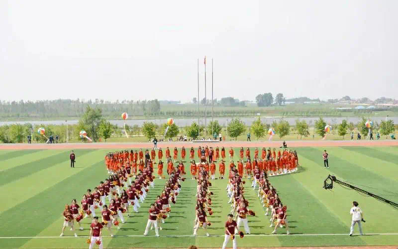 乒乓球台可以养多肉么